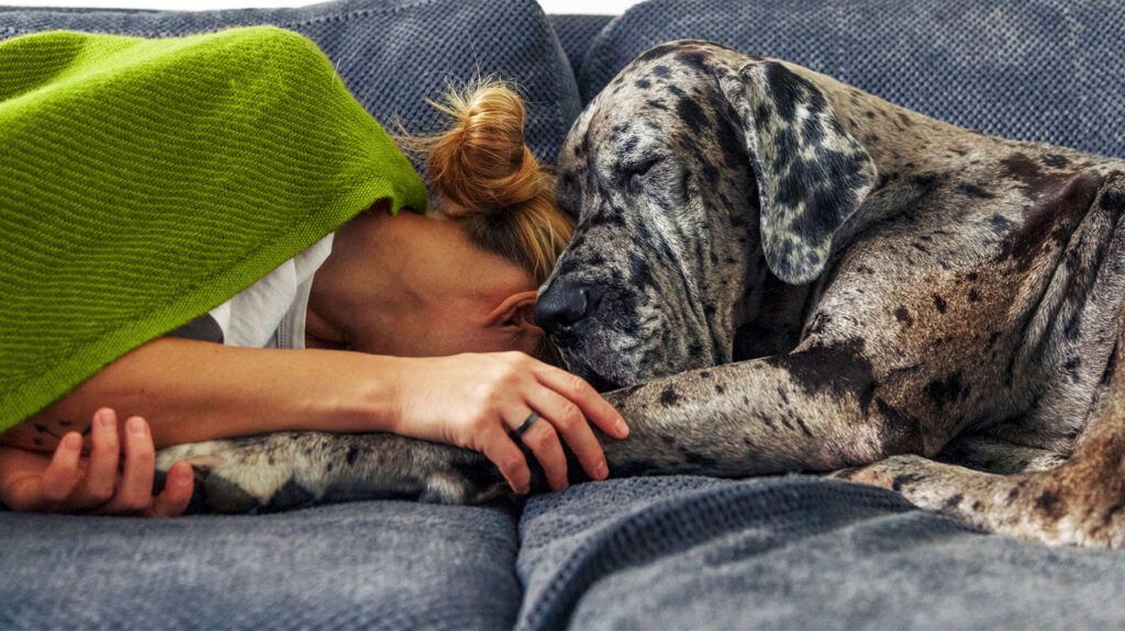 Femme fatiguée allongée sur un canapé avec un chien tacheté