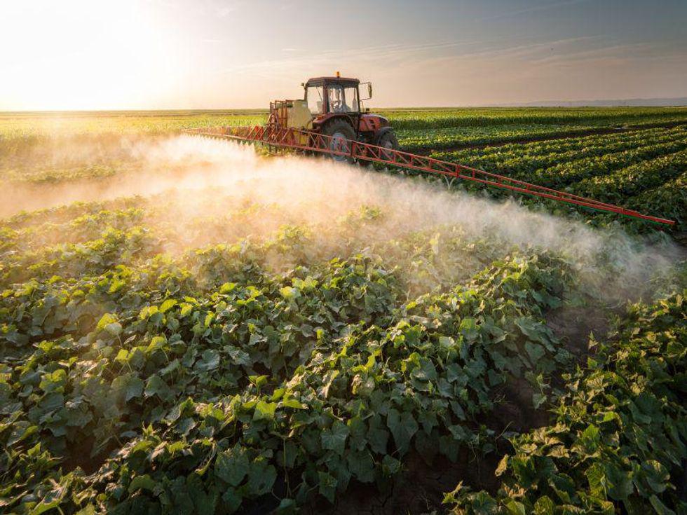 Image d'actualité : La plupart des gens ont été exposés à un pesticide peu connu : étude