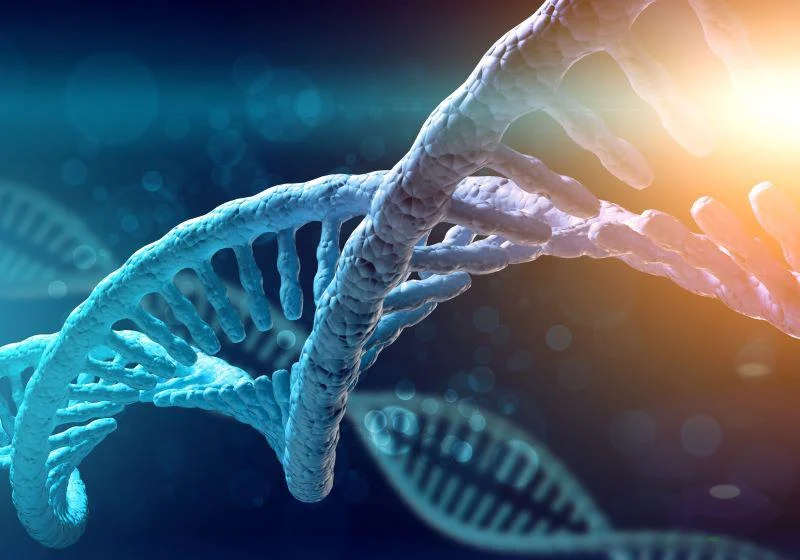 Image d'actualité : Les tests basés sur les gènes pourraient prédire vos chances de maladies courantes