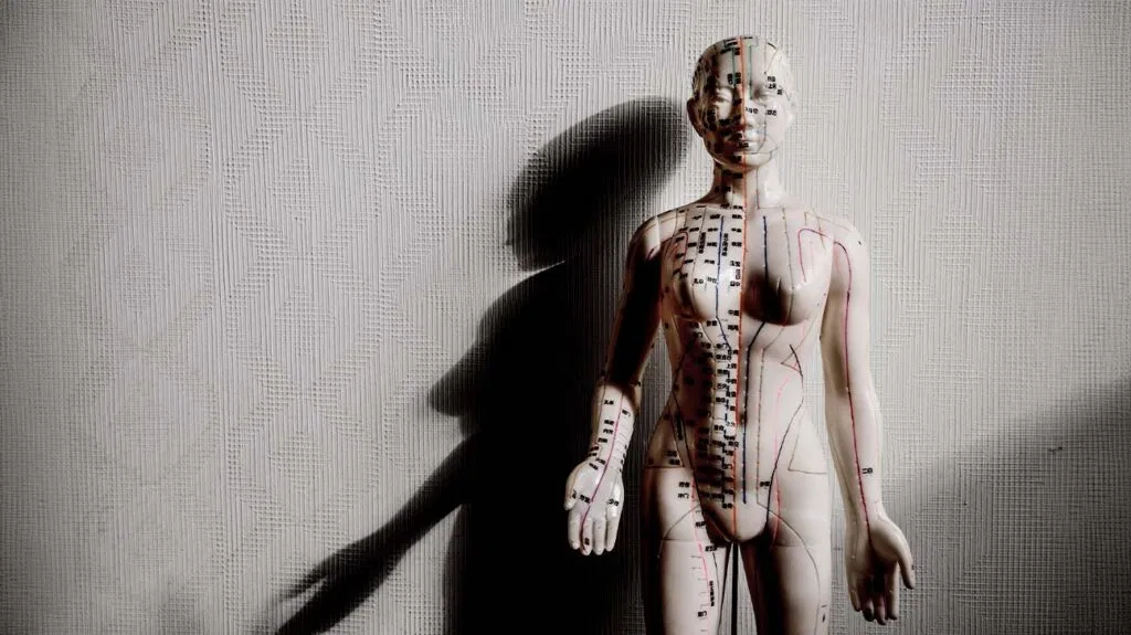 Un modèle de corps humain montrant les points de pression de l'acupuncture.