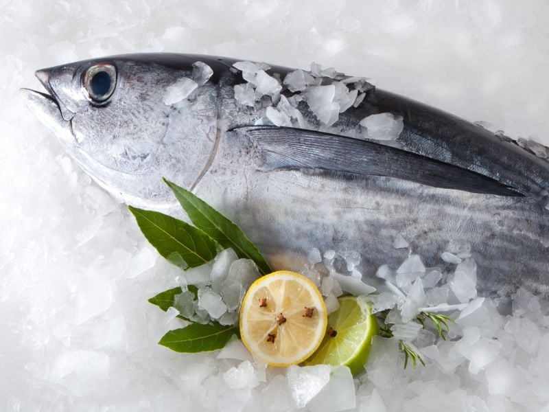 Imagen de noticias: Las personas con alto riesgo de enfermedad cardíaca pueden beneficiarse de comer caballa y atún