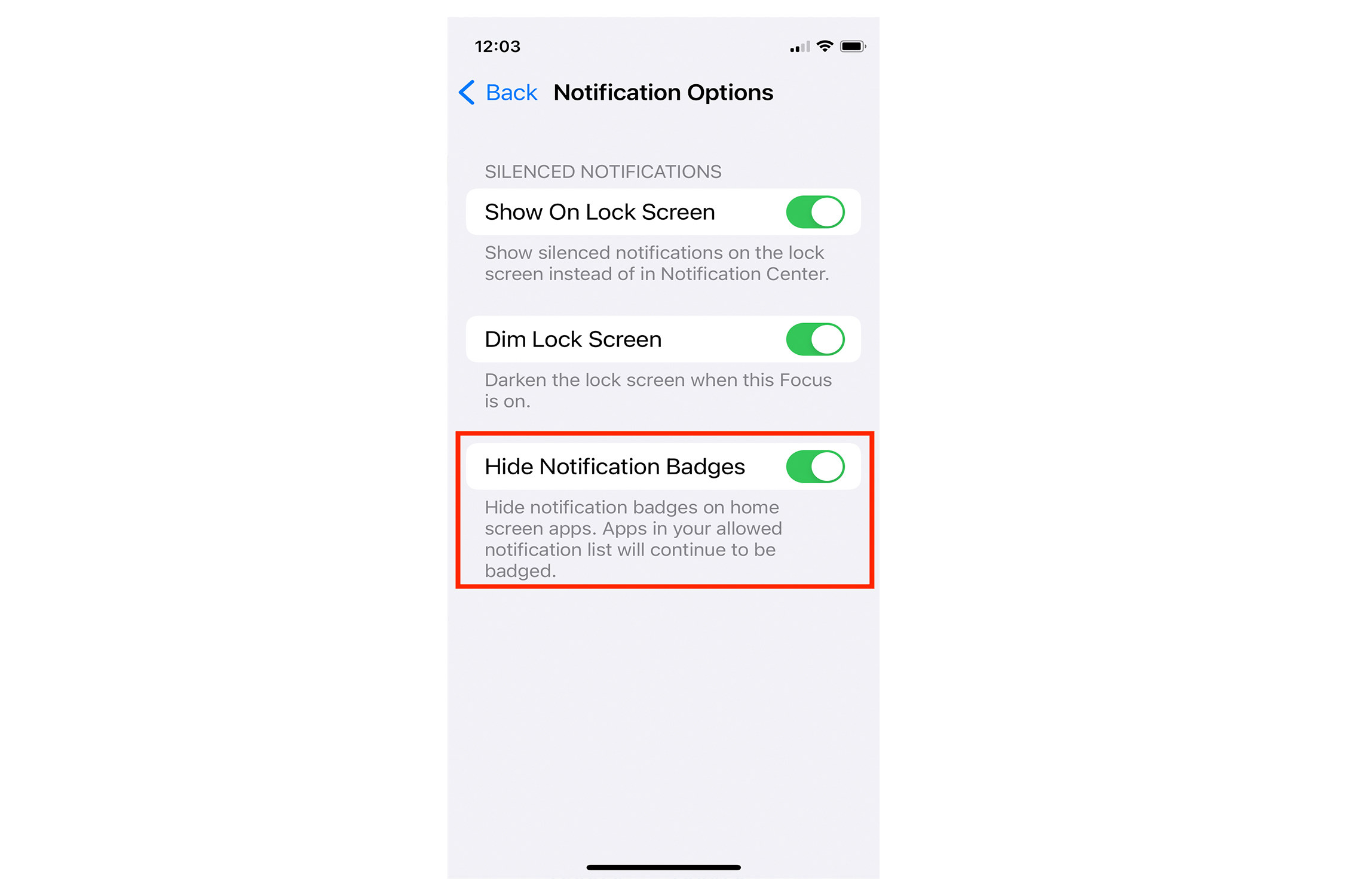 Opzione Nascondi Badge iOS 16.