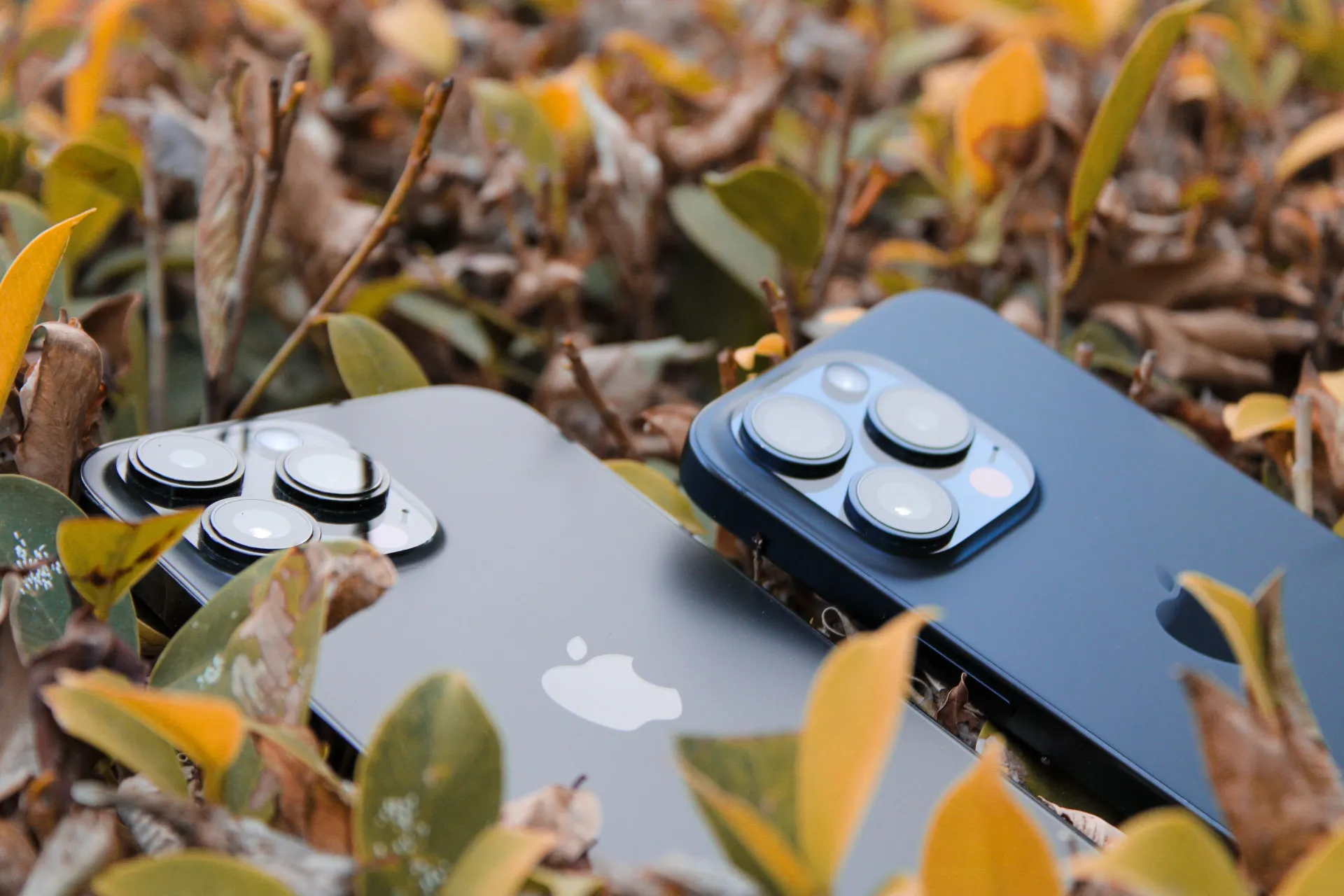 iPhone 14 Pro Max e iPhone 15 Pro inquadra sulle foglie