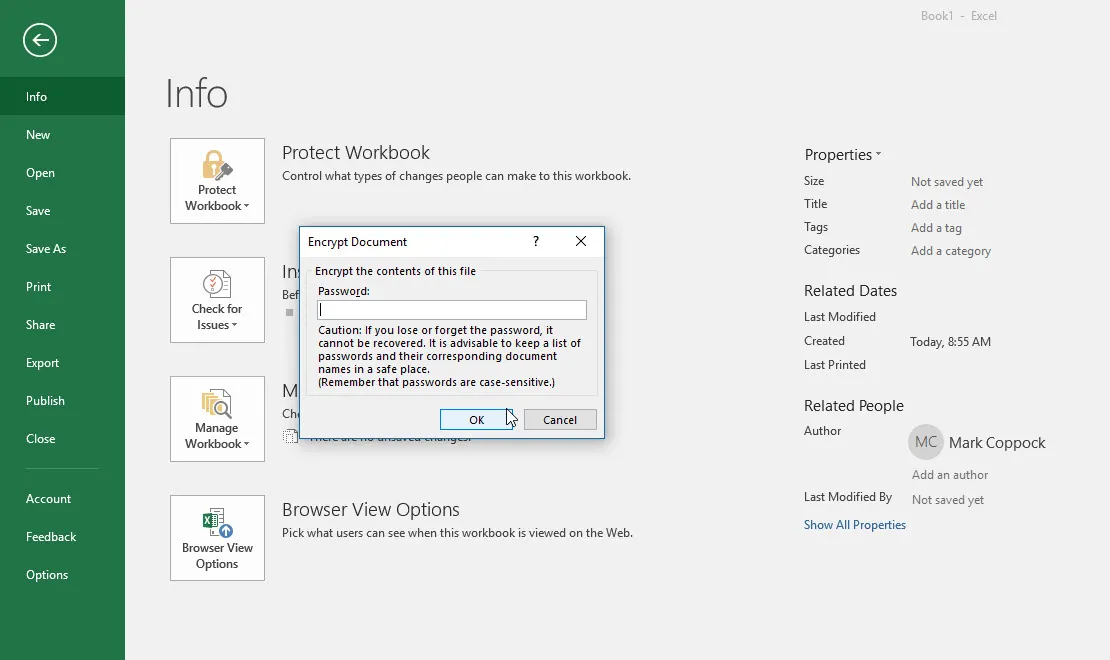 Excel предлагает пользователю создать и ввести пароль для документа.