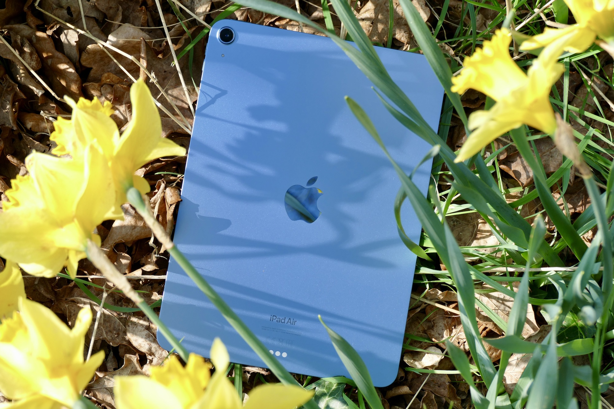 обзор планшета apple ipad air 5 2022 фото сзади с цветами