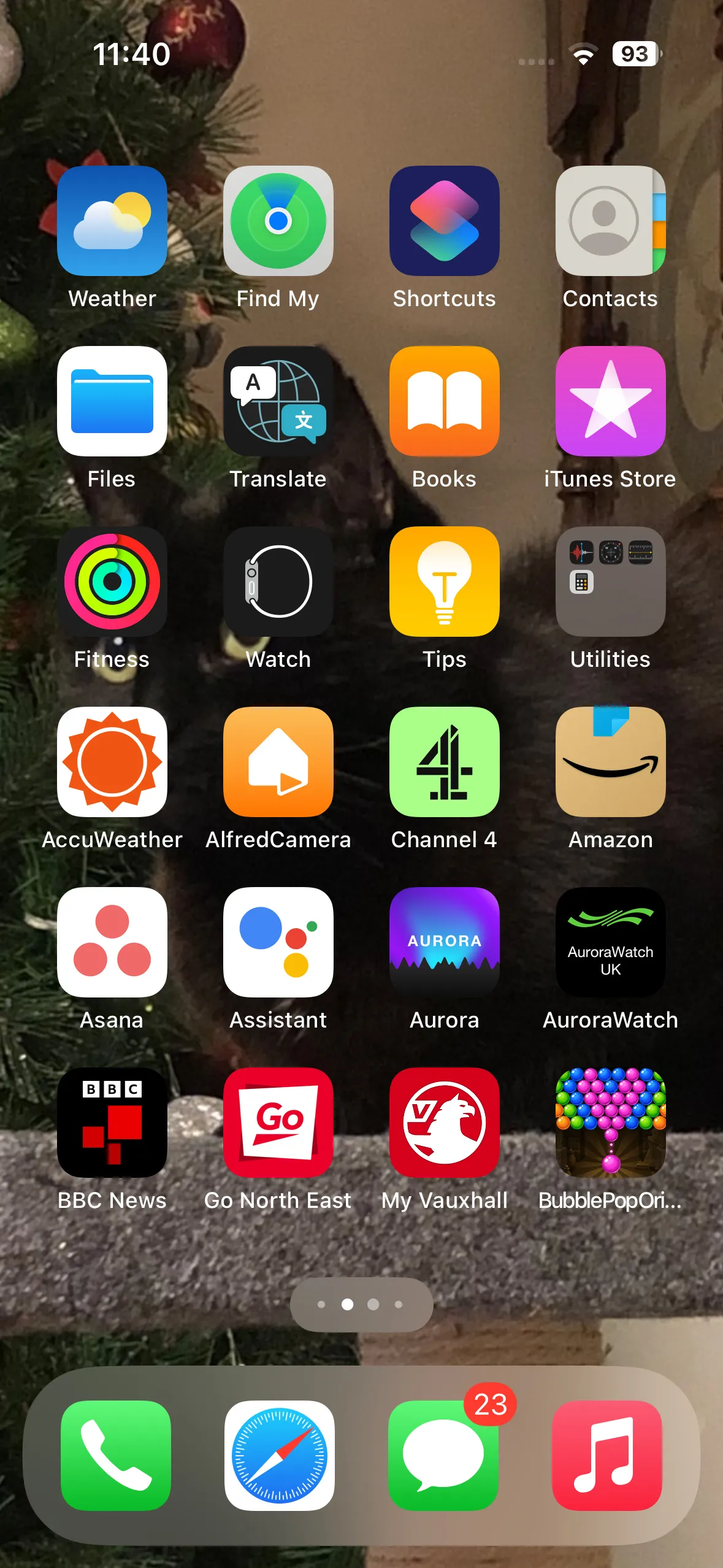 The iPhone home screen