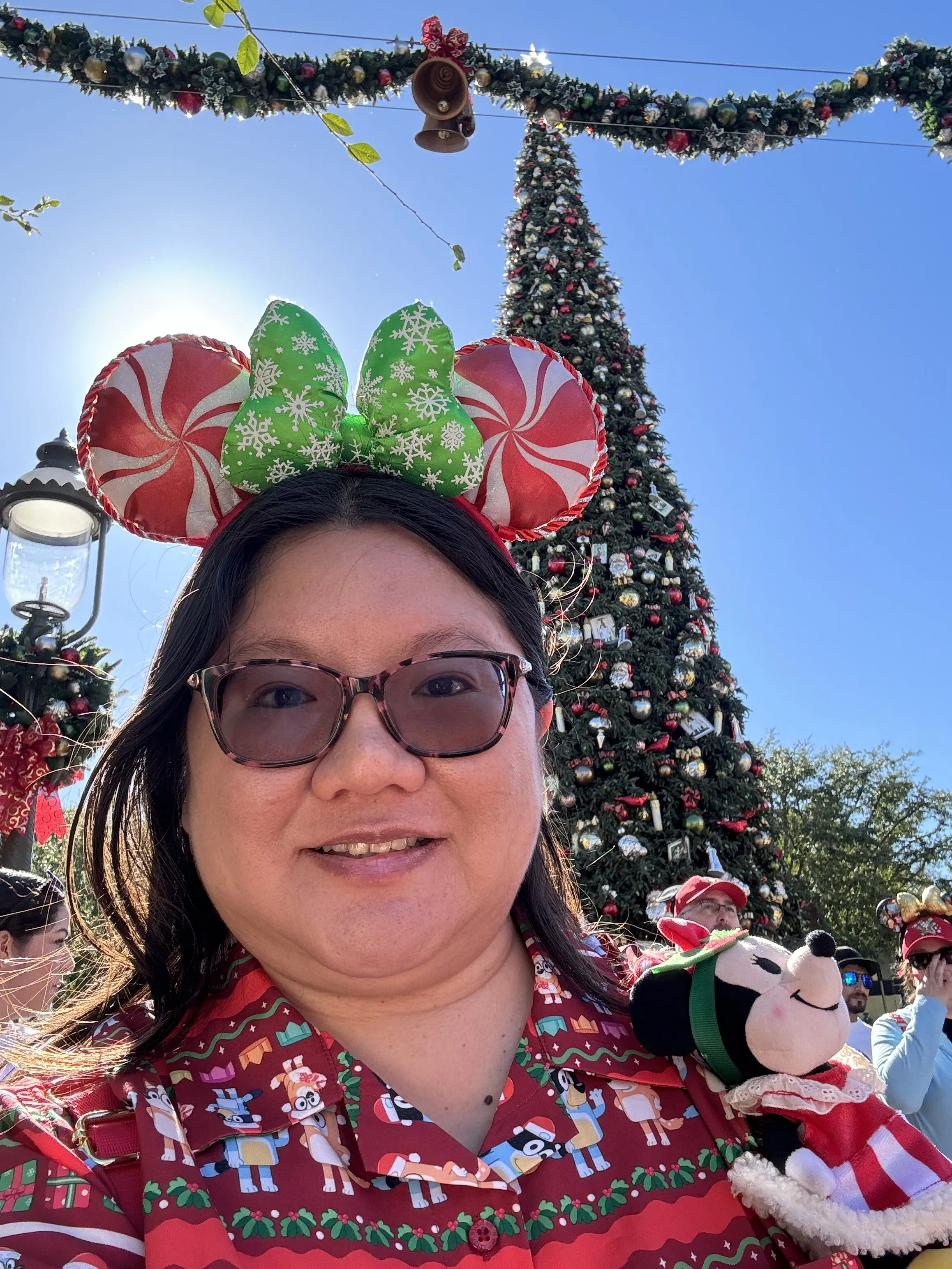 Selfie não editada tirada no Disneyland.