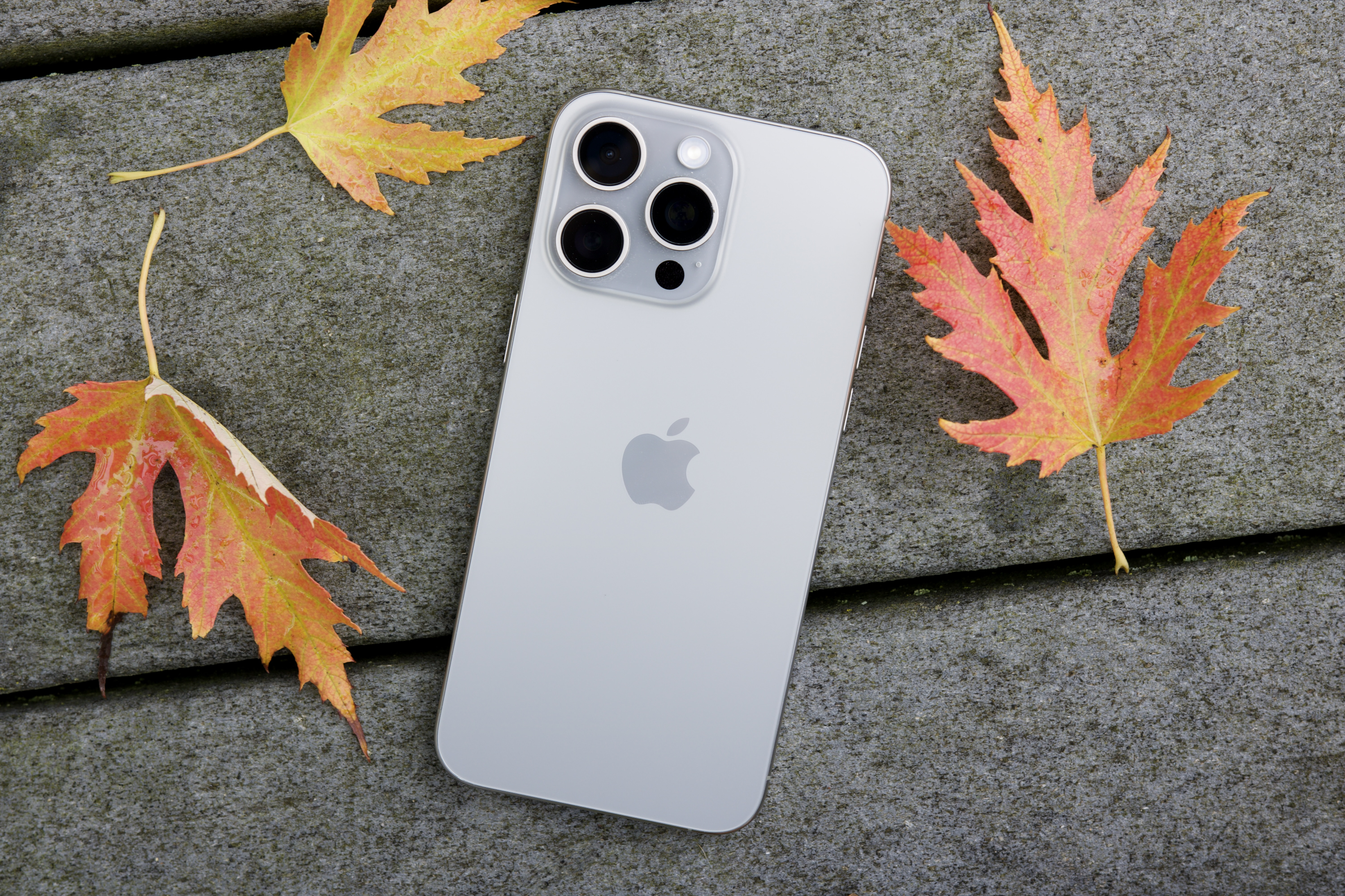 iPhone 15 Pro Max躺在叶子中间