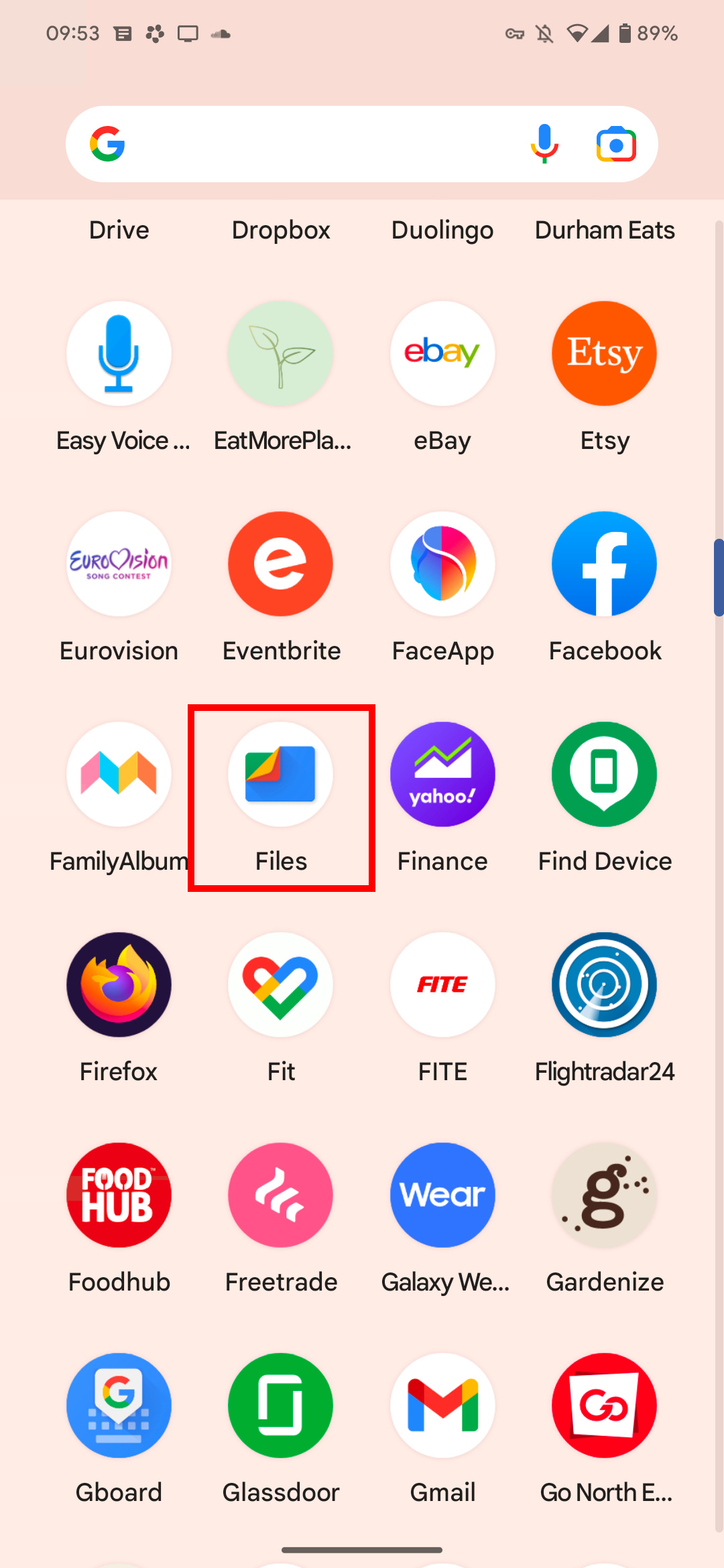 La app de Google Files en el cajón de aplicaciones.