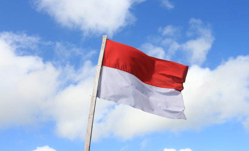 Индонезийский флаг