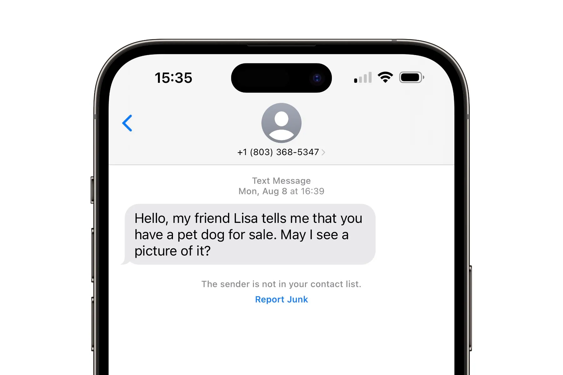 iPhone mostrando uma mensagem de spam com a opção de Reportar Lixo