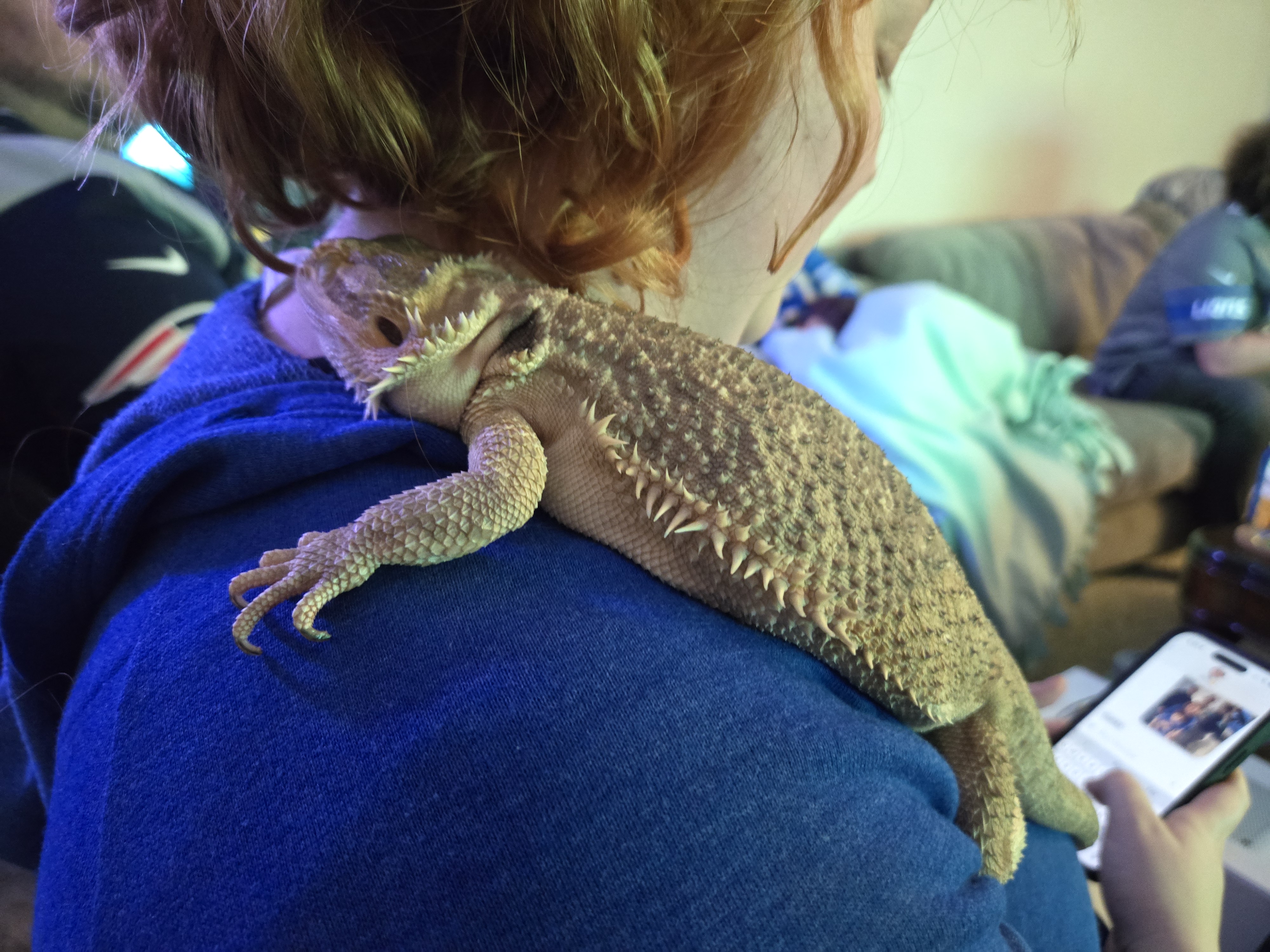 Uma foto de um lagarto sentado no ombro de alguém, tirada com o Samsung Galaxy S24 Plus.