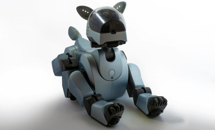 cachorro robô