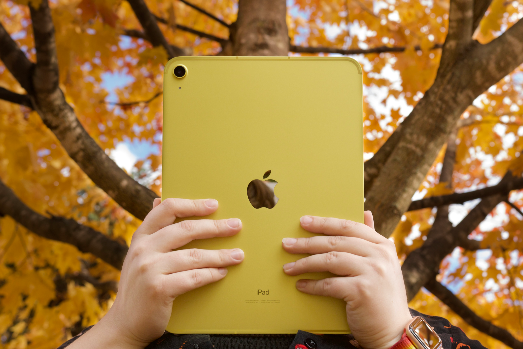 Человек держит желтый iPad (2022) перед деревьями с оранжевыми и желтыми листьями.