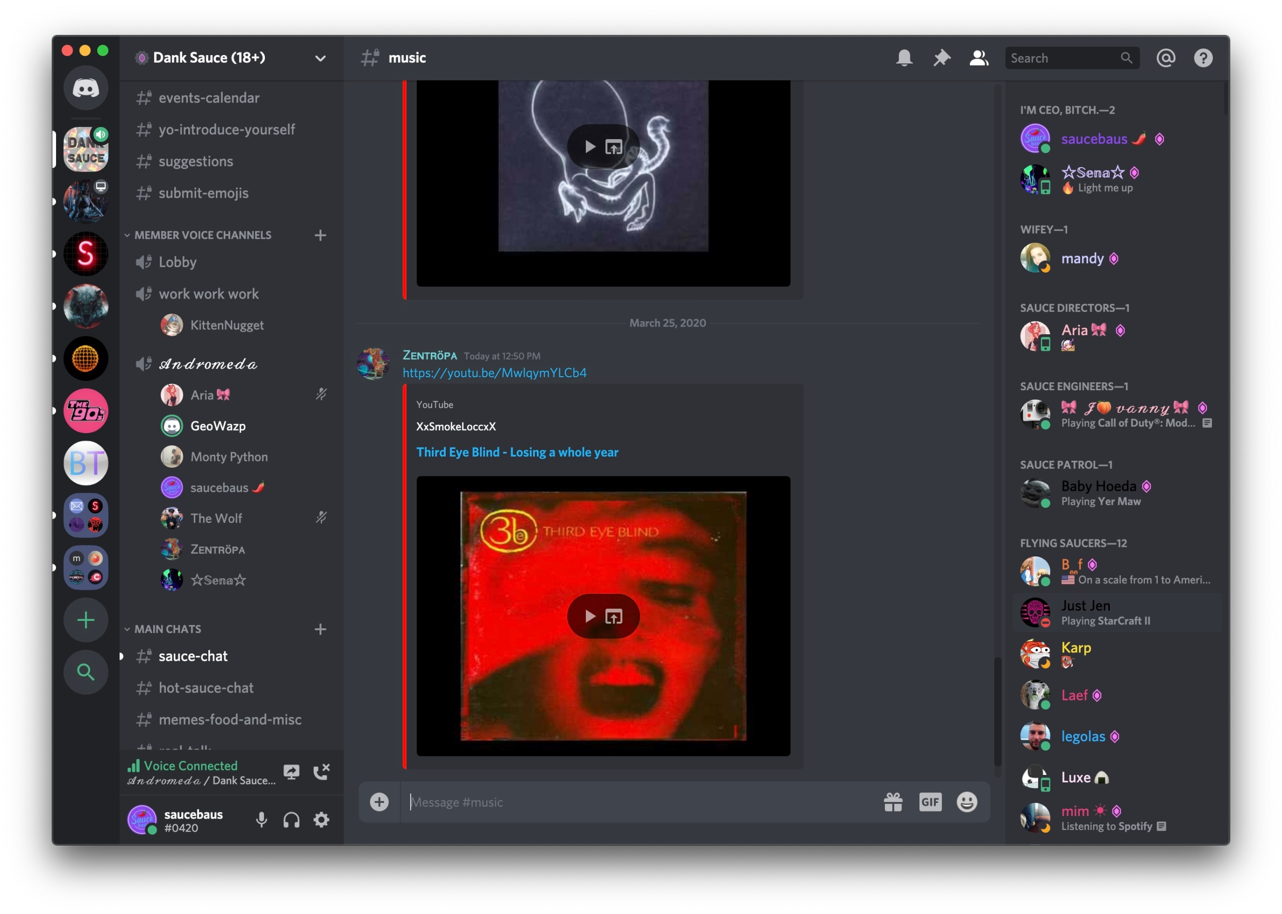 A Discord voice chat room.