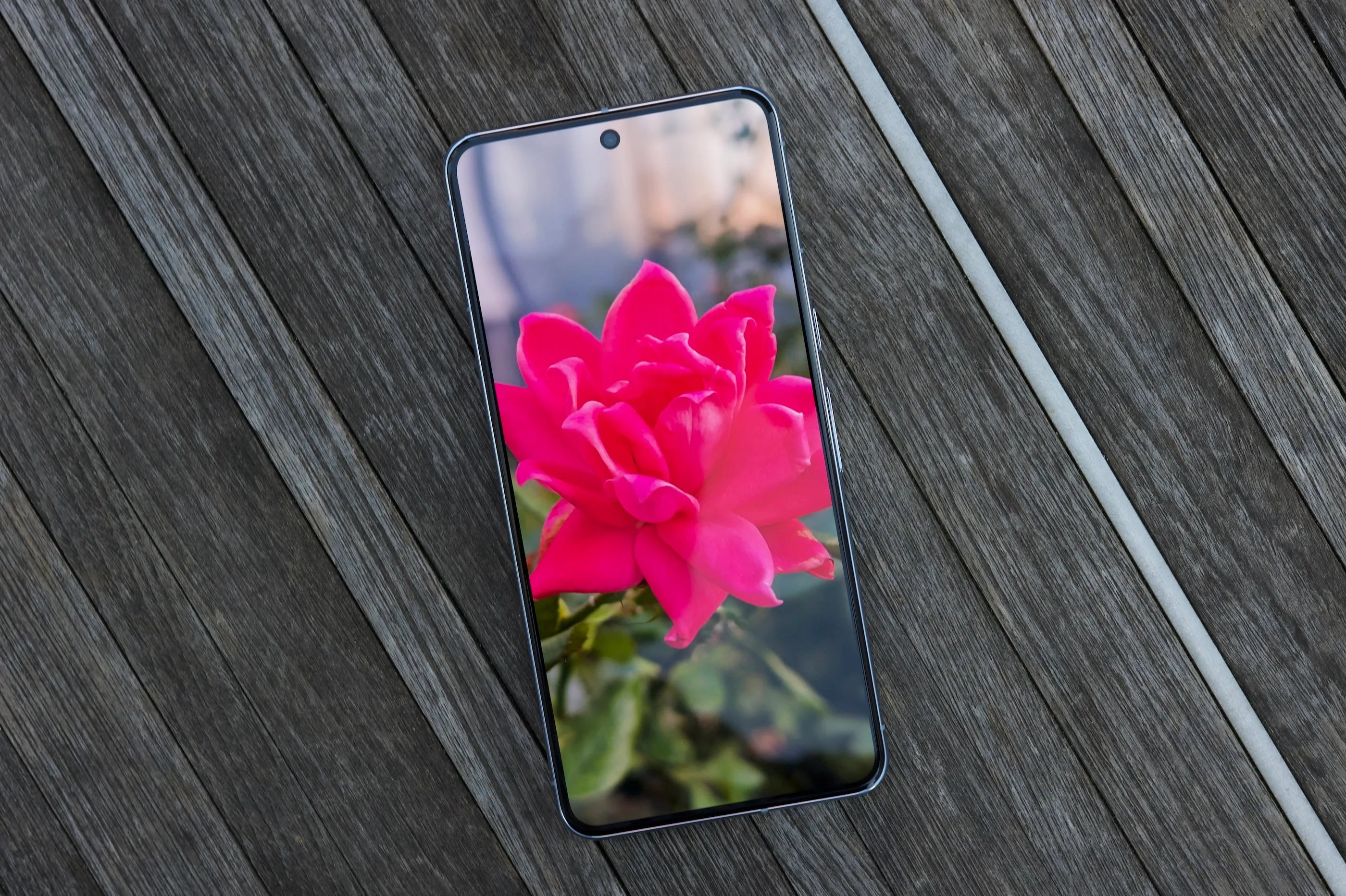 Foto di un fiore visualizzato sullo schermo del Google Pixel 8 Pro.