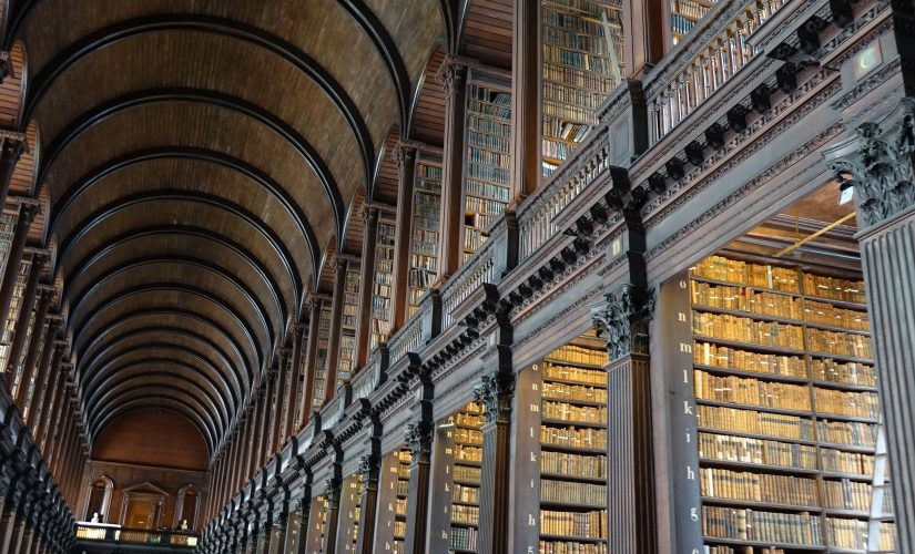 Riga di libri di una biblioteca con soffitto alto