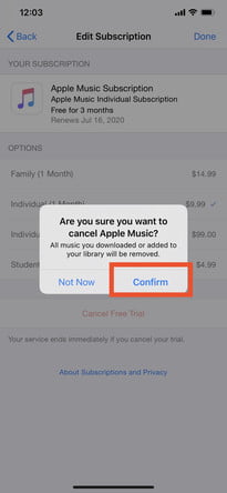 confirm-subscription-cancel-iphone