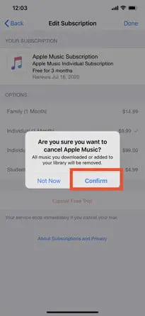 confirm-subscription-cancel-iphone