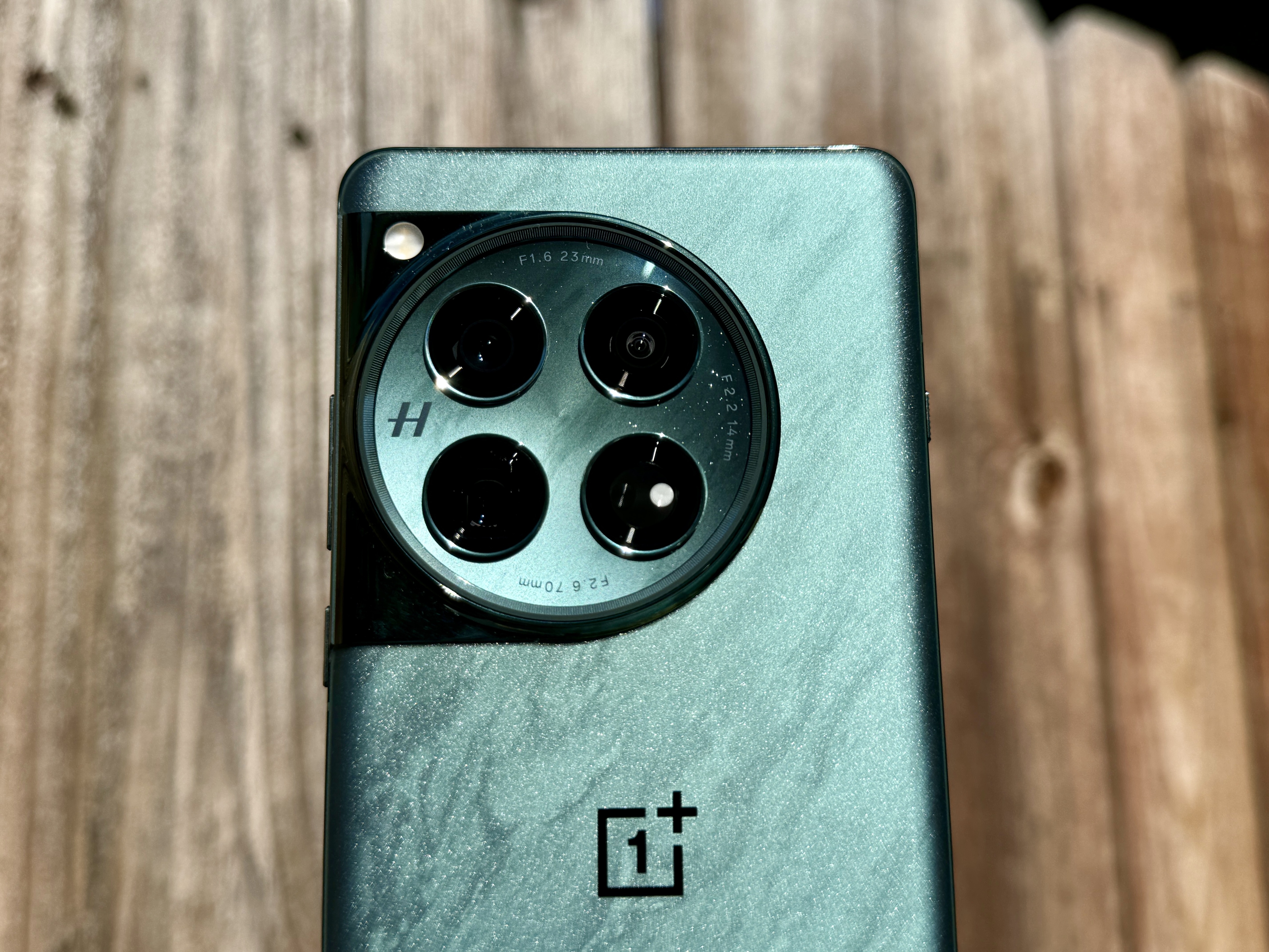 OnePlus 12 in Flowy Emerald showing rear glass and camera module